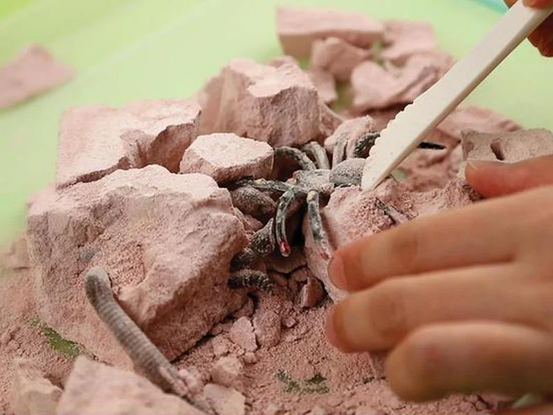 Miniature 2