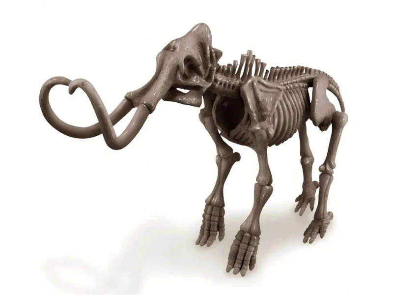 Miniature 2