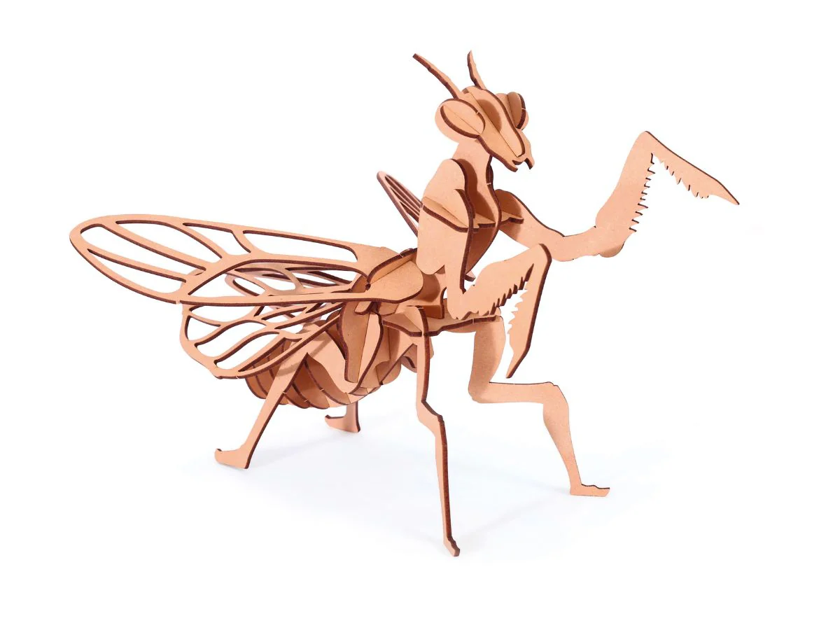 Miniature 2