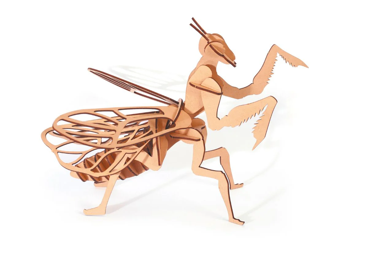 Miniature 3
