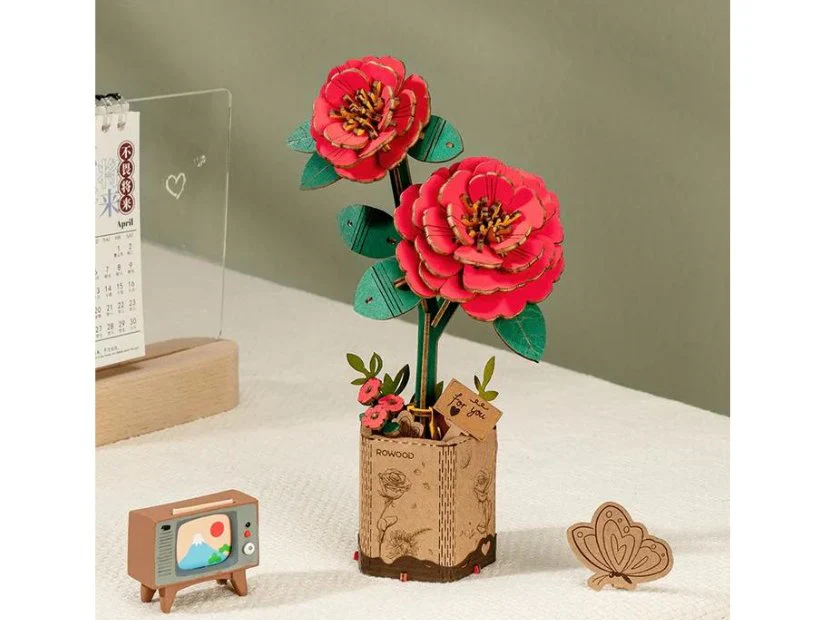 Miniature 5