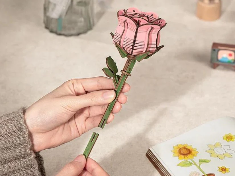 Miniature 4