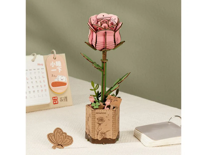 Miniature 5
