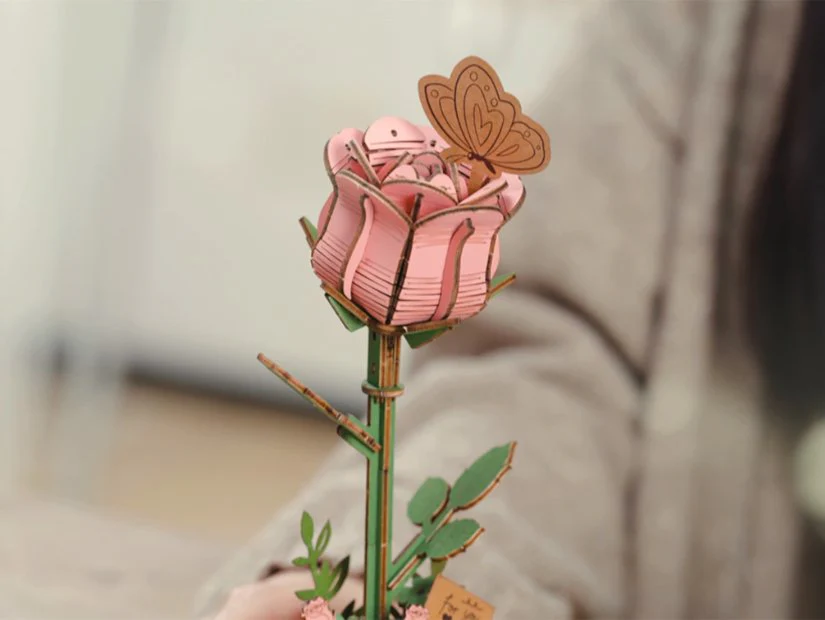 Miniature 6