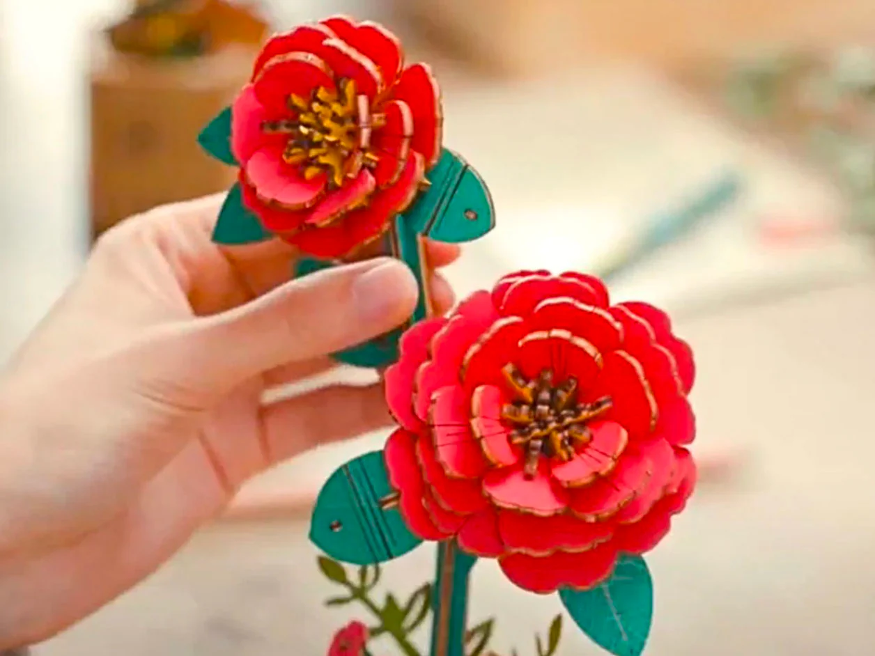 Miniature 2